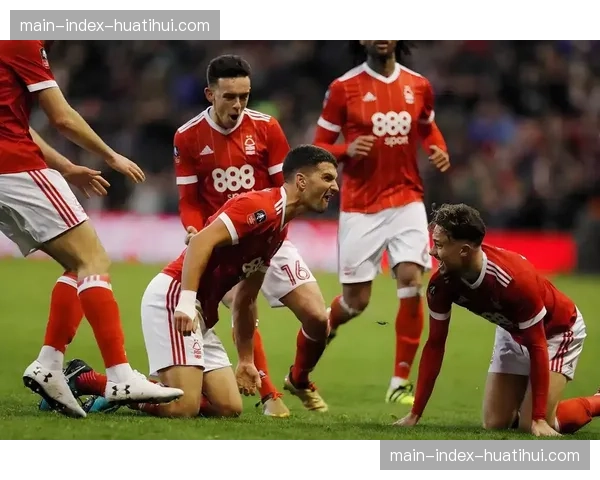 评论：VAR技术引入欧洲顶级手球赛事一赛季，公平性提升与比赛流畅性争议并存